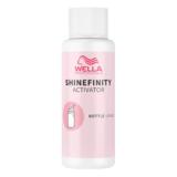Activator pentru aplicator - Wella Professionals Shinefinity Activator 2% - Bottle Usage, 60 ml
