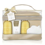 Set Cadou Baylis & Harding Sweet Mandarin & Grapefruit Luxury Bag Set - Gel de Dus pentru Par si Corp 300ml, Gel de Dus 300ml, Lotiune de Corp 200ml, Burete de Baie