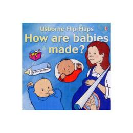 How Are Babies Made?, editura Usborne Publishing