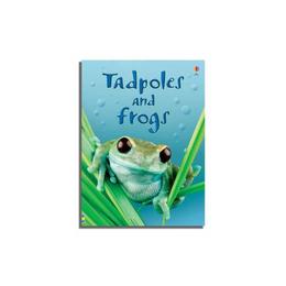 Tadpoles and Frogs, editura Usborne Publishing