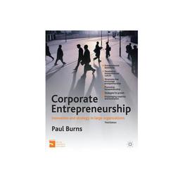 Corporate Entrepreneurship, editura Palgrave Macmillan Higher Ed