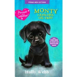 Monty, catelusul cel trist - Holly Webb, editura Litera