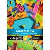 Matematica - Clasa 3 - Culegere - Delia Boieru, Cristina Ungur, Valentina Nap, editura Sinapsis