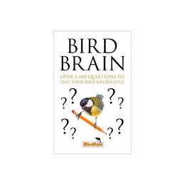 Bird Brain, editura Harper Collins Paperbacks