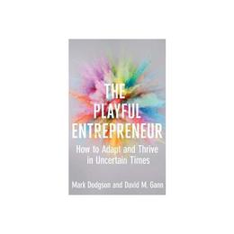 Playful Entrepreneur, editura Yale University Press