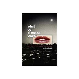 What Do Pictures Want?, editura University Of Chicago Press