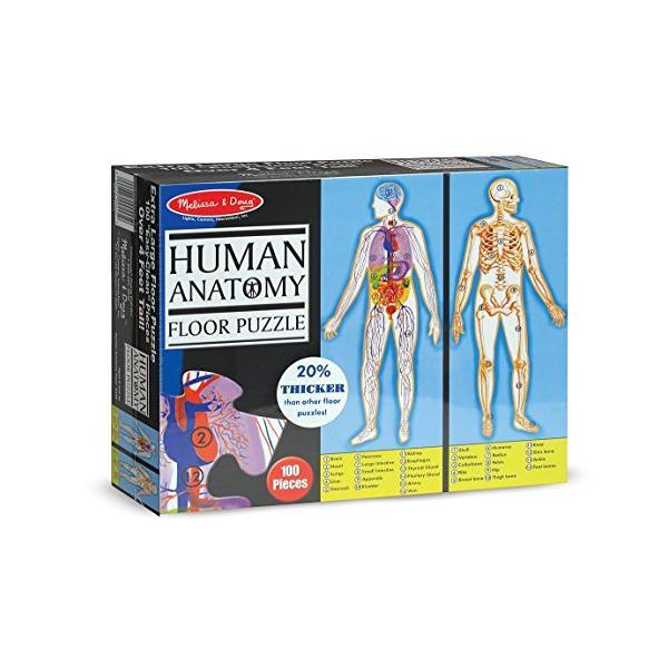 Floor puzzle, Human anatomy. Puzzle de podea, Corpul uman