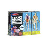 Floor puzzle, Human anatomy. Puzzle de podea, Corpul uman