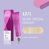 vopsea-permanenta-londa-professional-nuanta-12-1-blond-special-cenusiu-1739523330133-1.jpg