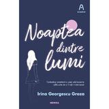 Noaptea dintre lumi - Irina Georgescu Groza, editura Nemira