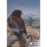 african-raptors-editura-bloomsbury-publishing-3.jpg