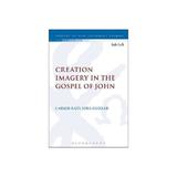 Creation Imagery in the Gospel of John, editura Bloomsbury Academic T&t Clark