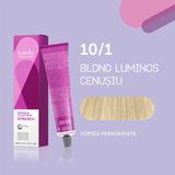 vopsea-permanenta-londa-professional-nuanta-10-1-blond-solar-cenusiu-1739521038148-1.jpg