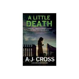 Little Death, editura Severn House Large Print