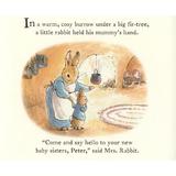 peter-rabbit-tales-three-little-bunnies-editura-frederick-warne-3.jpg