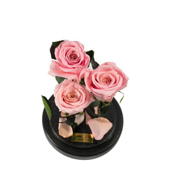 Aranjament 3 Trandafiri Criogenati Roz Queen Roses in cupola de sticla personalizata