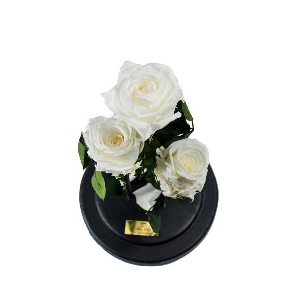 Aranjament 3 Trandafiri Criogenati Albi Queen Roses in cupola de sticla personalizata