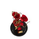 aranjament-3-trandafiri-criogenati-rosii-queen-roses-in-cupola-de-sticla-2.jpg