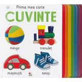 Prima mea carte. Cuvinte - Alice Luffman, editura Litera