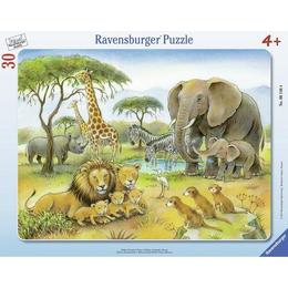 Puzzle africa salbatica, 30 piese - Ravensburger