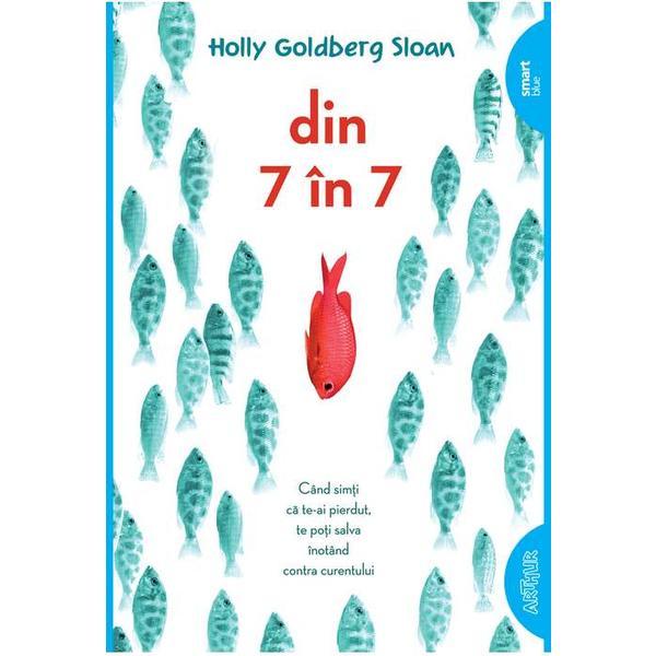 Ddin 7 in 7 - holly goldberg sloan (necartonat)