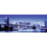 puzzle-minunatul-new-york-1000-piese-ravensburger-2.jpg