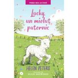 Lucky, un mielut puternic - helen peters