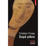 Dupa plans - Cristian Fulas, editura Polirom