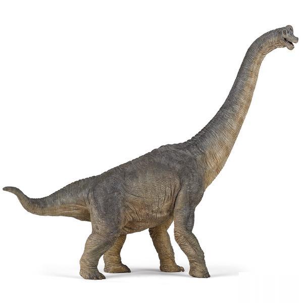 Figurina Papo - Dinozaur Brachiosaurus