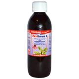Sirop Natural din Echinacea, Patlagina si Muguri de Pin Faviimun 2 Favisan, 250 ml