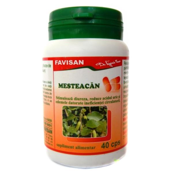 Mesteacan Favisan, 40 capsule