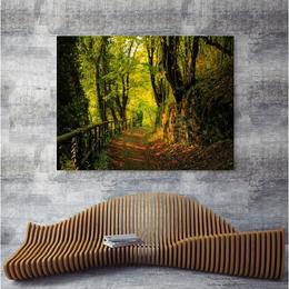 Tablou Canvas Modern, ArtHouse Dimensiunea 80x50 ART47