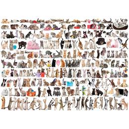 Puzzle 1000 piese The World of Cats