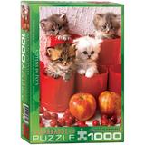 puzzle-1000-piese-kittens-in-pots-2.jpg