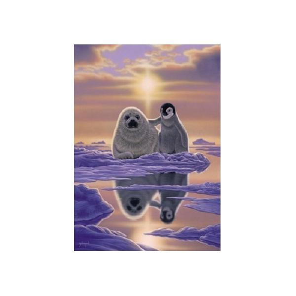 Puzzle Schimmel, 1000 piese, Pinguin si Foca