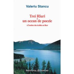 Trei Riuri si un ocean de poezie - Valeriu Stancu, editura Institutul European