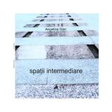 Spatii intermediare - Angelica Stan, editura Tracus Arte