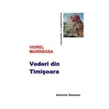 Vederi din Timisoara - Viorel Marineasa, editura Institutul European