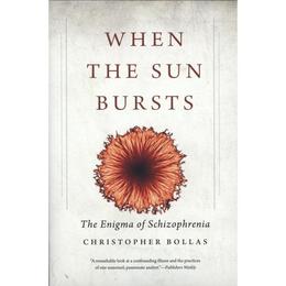 When the Sun Bursts, editura Yale University Press Academic