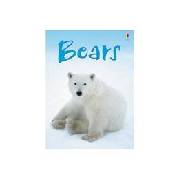 Bears, editura Usborne Publishing