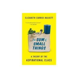 Sum of Small Things, editura Princeton University Press