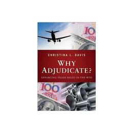 Why Adjudicate?, editura Princeton University Press