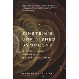 Einstein&#039;s Unfinished Symphony, editura Yale University Press Academic
