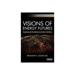 Visions of Energy Futures, editura Taylor & Francis