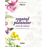 Regatul plantelor - Carte de colorat, editura Corint