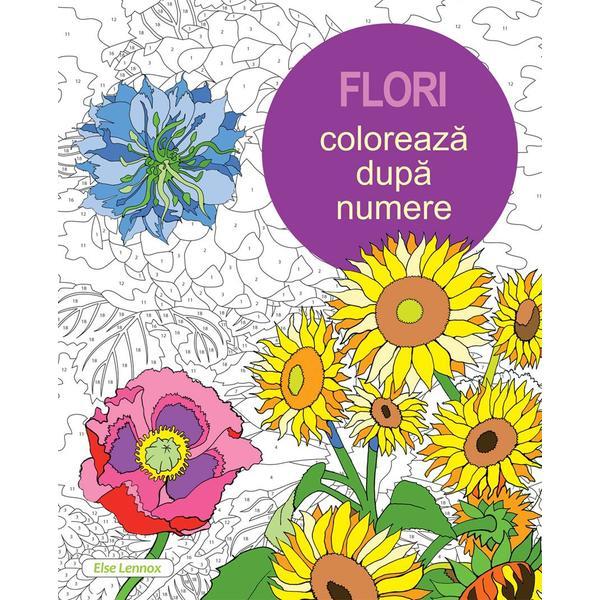 Flori: Coloreaza dupa numere, editura Didactica Publishing House