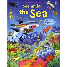 See Under the Sea, editura Usborne Publishing