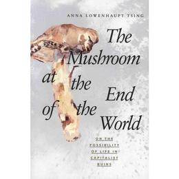 Mushroom at the End of the World, editura Harper Collins Childrens Books