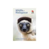 Wildlife of Madagascar, editura Harper Collins Childrens Books