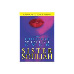 Coldest Winter Ever - Sister Souljah, editura Anova Pavilion